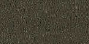 MRAG