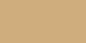O101 - RAL 1001 OPACO