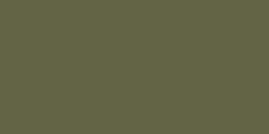 O613 - RAL 6013 OPACO