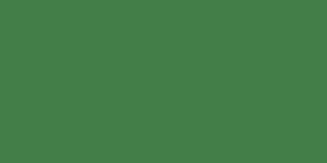 O617 - RAL 6017 OPACO