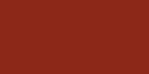 ROOP