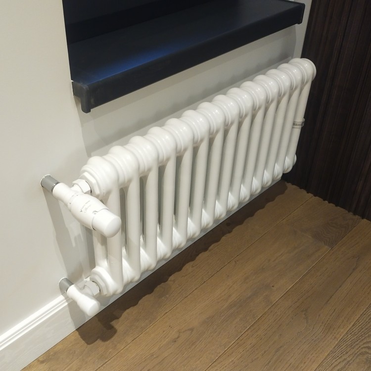 трубчастий радіатор IRSAP Tesi 2 _ h=200-600mm [нижнє підключення]